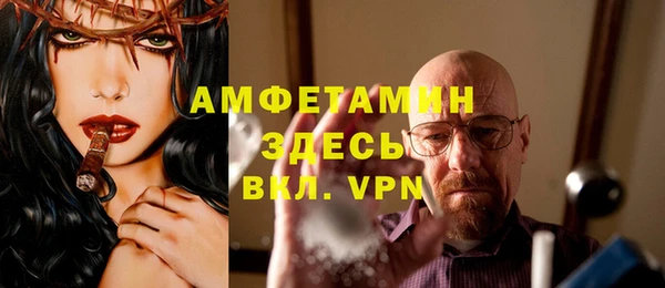 прущие грибы Снежинск