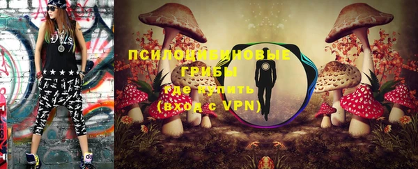 a pvp Алексеевка