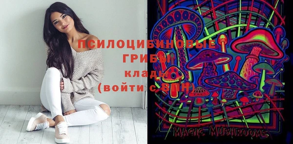 a pvp Алексеевка