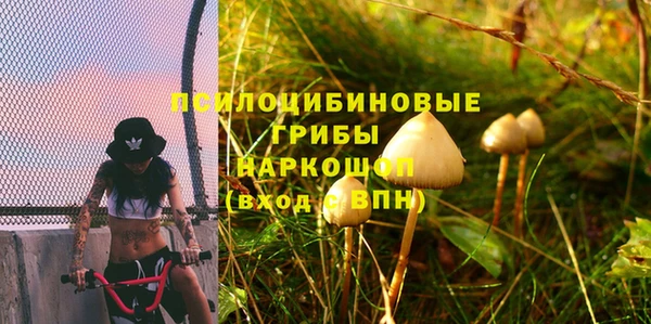 спиды Алексин