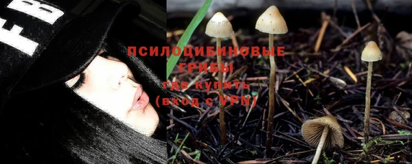 круглые Алзамай