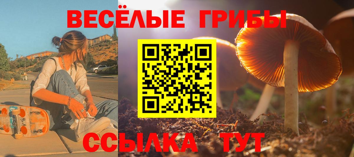 Псилоцибиновые грибы Cubensis Лабинск